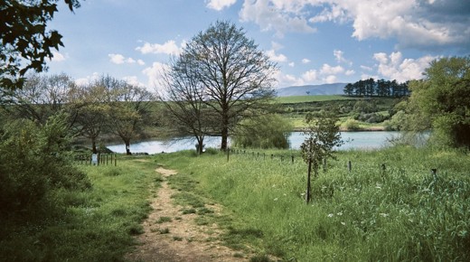 Giulianello Lake, with blue sky and gree grass and some trees