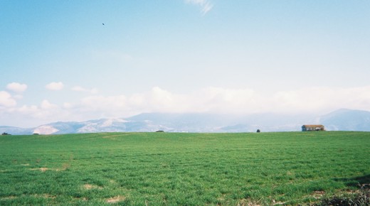 A green field with a blue sky and a few clouds. I took the photo on my morning walk.