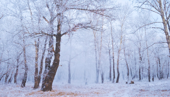 Header image for January 2019 Update